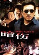 暗傷劇情介紹(1-31全集)