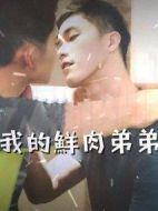 我的鮮肉弟弟劇情介紹(1-12全集)