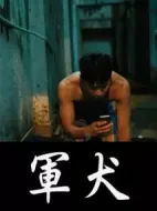 軍犬劇情介紹(1-20全集)