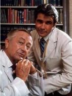 維爾比醫(yī)生劇情介紹(1-169全集)