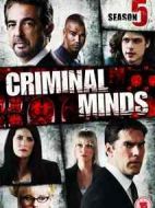 犯罪心理第五季劇情介紹(1-23全集)