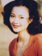 丁香劇情介紹(1-20全集)