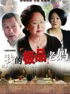 我的極品老媽劇情介紹(1-30全集)