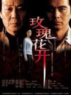 玫瑰花開劇情介紹(1-20全集)