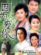 因為愛你劇情介紹(1-12全集)