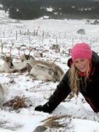 英國(guó)的冬天