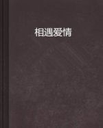 相遇愛情劇情介紹(1-30全集)