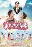 美妙的情緣劇情介紹(1-36全集)