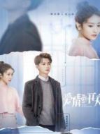 愛(ài)情的開(kāi)關(guān)DVD版