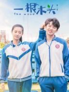 一根木頭第二季