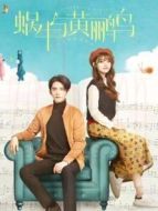 蝸牛與黃鸝鳥DVD版