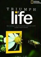 三個(gè)傻Boy劇情介紹(1-9全集)