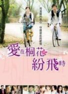 愛在桐花紛飛時(shí)