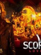 蔑視：愛(ài)情多傷人劇情介紹(1-全集)