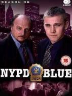 紐約重案組第六季劇情介紹(1-13全集)