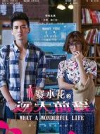 賽小花的遠大前程劇情介紹(1-42全集)