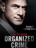 法律與秩序：組織犯罪第一季劇情介紹(1-8全集)