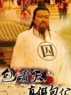 包青天之真假包公劇情介紹(1-6全集)
