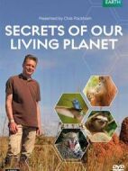 我們星球的秘密劇情介紹(1-4全集)