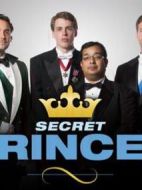 求愛王子第一季海報(bào)