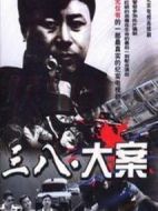 3·8大案