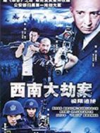 西南大劫案劇情介紹(1-34全集)