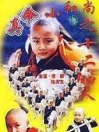 真命小和尚之十二銅人