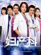 愛的婦產(chǎn)科劇情介紹(1-24全集)