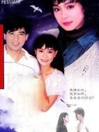 海鷗飛處彩云飛劇情介紹(1-40全集)