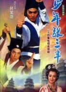 少年張三豐（何家勁版）劇情介紹(1-24全集)