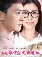 命中注定我愛你