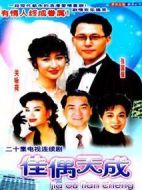 佳偶天成劇情介紹(1-20全集)