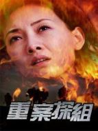 重案探組劇情介紹(1-17全集)