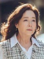 粉紅色時(shí)光劇情介紹(1-15全集)