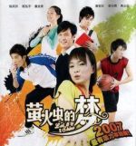 螢火蟲的夢劇情介紹(1-20全集)