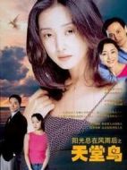 天堂鳥(niǎo)劇情介紹(1-20全集)