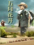 五月花開