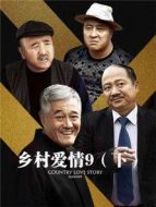鄉(xiāng)村愛情9（下）