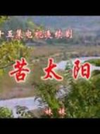 太陽淚劇情介紹(1-80全集)