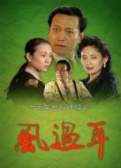 風(fēng)過耳劇情介紹(1-15全集)