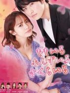 桃色 杏色 櫻色劇情介紹(1-6全集)