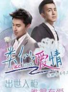 類似愛情第一季劇情介紹(1-15全集)