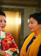 喜事年年劇情介紹(1-20全集)