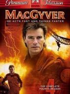 玉面飛龍第四季劇情介紹(1-19全集)