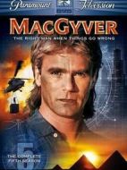 玉面飛龍第五季