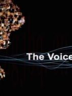 BBC-教授揭秘聲音之謎海報(bào)