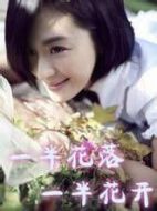 一半花落一半花開劇情介紹(1-30全集)