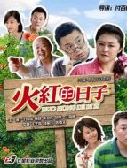 火紅的日子劇情介紹(1-36全集)