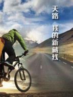 天路 我的新藏線劇情介紹(1-5全集)