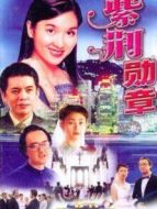 紫荊勛章劇情介紹(1-20全集)